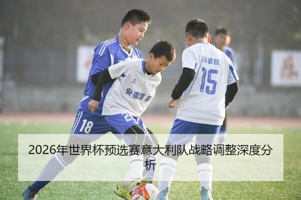 2026年世界杯预选赛意大利队战略调整深度分析