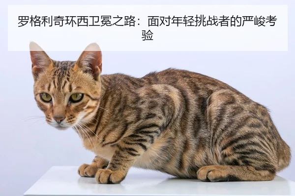 luo-ge-li-qi-huan-xi-wei-mian-zhi-lu-mian-dui-nian-qing-tiao-zhan-zhe-de-yan-jun-kao-yan-2-472.jpg
